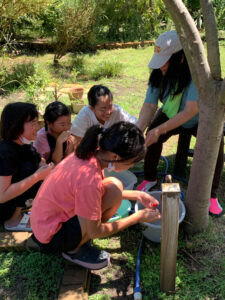 クイーンズの夏休みスクール　Queen's Summer school